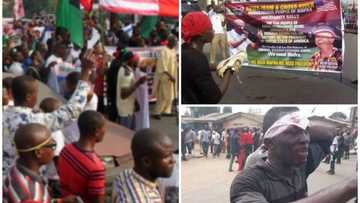 IPOB, MASSOB issue guidelines for May 30 Biafran Day celebration, tells south-east people what to do