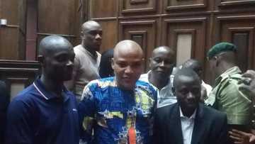 No going back on Biafra - Nnamdi Kanu insists