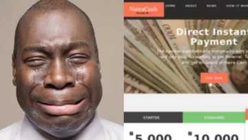 Another ponzi scheme reportedly crashes