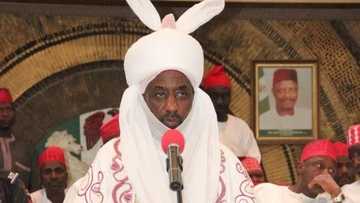 Tirkashi: Dogaran Sarkin Kano sun fara gudu daga fadar Kano