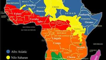 Ji, ku karu: Abubuwa 13 da ya kamata ku sani game da Nahiyarmu ta Afirka