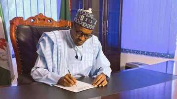 Why Buhari Appointed Self As Petroleum Minister – APC Chairman