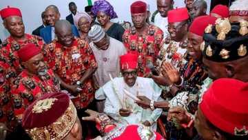 Southeast elders will support Buhari if he contests in 2019 - Ikedife