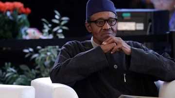 2019: Abu ɗaya kacal da zai hana shugaba Buhari tsayawa takara - Kalu