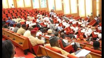 Da dumin sa: Majalisar dattijai ta amince da sabbin nade-naden shugaba Buhari 3