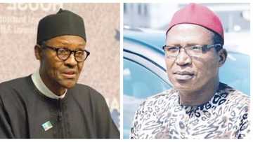 What has Buhari inherited from his predecessors? - APC chief opens up on what caused Buhari's illness