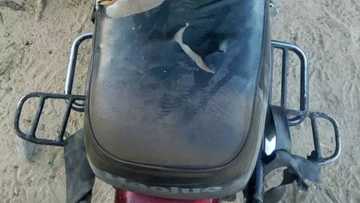 Soldiers intercept Boko Haram bomb squad; see deadly items they recovered (photos)