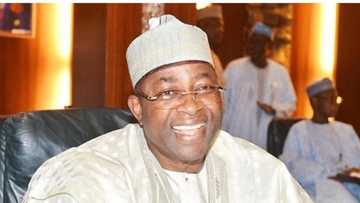 Rigimar Jam'iyyar APC mai mulki a Bauchi ya kara kamari