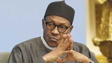 Dara ta ci gida: Matsananciyar yunwa ta hallaka yara 3 a mahaifar Buhari