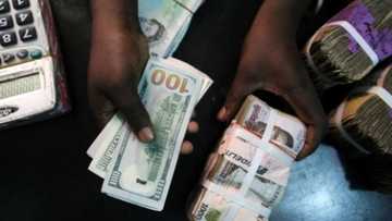 Muryar Amurka ta sallami ma'aikatan sashen Hausa 15 saboda karbar cin hanci