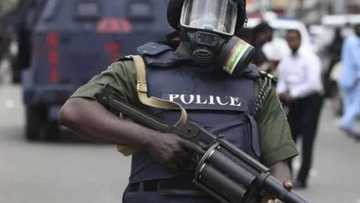 'Duk ranar da barayin gwamnati suka daina sata zan daina fashi da makami'