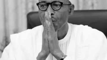 Jerin sunayen barayin da Lai Mohammed ya fitar ya jefa Gwamnatin Shugaba Buhari cikin matsala