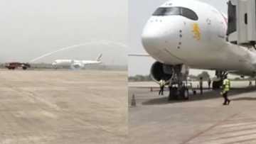 Dambarwa: Shanu sun shigo a cikin filin jirgi, sun hana jirgi sauka