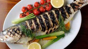 Top recipes for grilled fish with oven