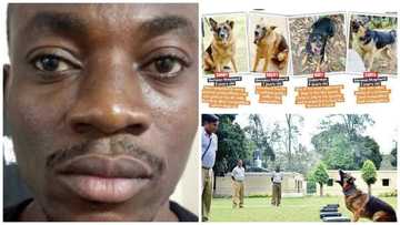 Nigerian arrested for drug smuggling in India (Photos)