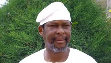 APC crisis: Senator accuses party of plotting to keep old executives in power