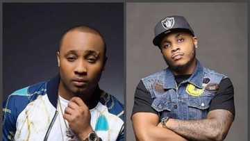 Sina Rambo and B Red: Top fact you should know about the brothers