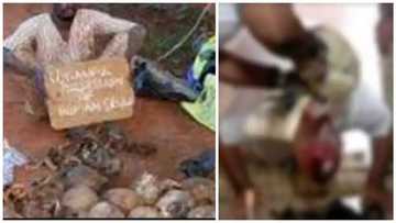 An kama wasu gungun ýan yankan-kai ɗauke da sabbin kawunan mutane dayawa