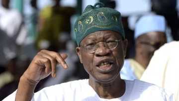 Hate speech: No government that restrains the press ever succeeds - Lai Mohammed