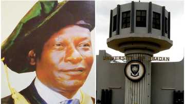 PhD scandal: UI distances itself from Osun rector, says his certificate is fraudulent