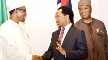 Idan Buhari bai kakkabe baragurbin dake zagaye da shi ba ba zai tabuka komai ba - Shehu Sani