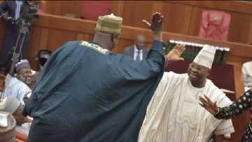 Bidiyo: Kalli yadda Sanatocin Najeriya suka ɓarje gumi a a bikin Fatima Dangote