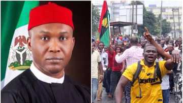 How can Igbos be terrorists - Former minister asks FG to lift ban on IPOB