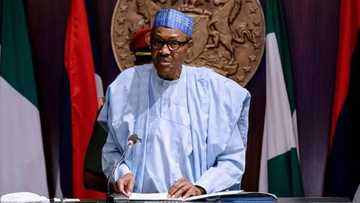 Buhari's government makes another appointment