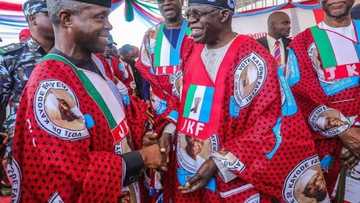 Mamayar majalisa: Osinbajo ya ceci Najeriya daga tozarci - Tinubu