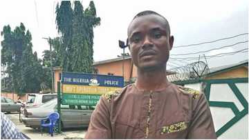 Nigerian man who poses as a NEPA staff to defraud people arrested