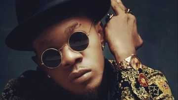 What dancehall star is planning with Fuji legend will interest you