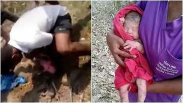 Yadda wata jaririya ta sha da kyar bayan an binne ta da ranta a cikin bola (Hotuna/bidiyo)