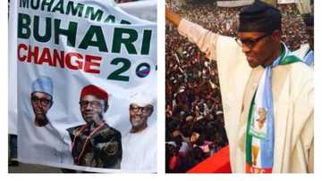 Southern leaders react to Buhari’s claim that he and Ojukwu agreed on Nigeria’s unity