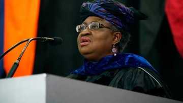 Breaking: 2 months after Okonjo-Iweala's appointment, WTO reveals powerful facts about Nigeria