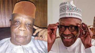 Cabals out to truncate Nigeria's democracy - Buhari's former teacher cries out