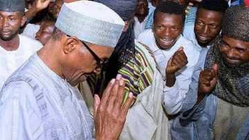President Buhari is a victim of 'juju' - Supporters