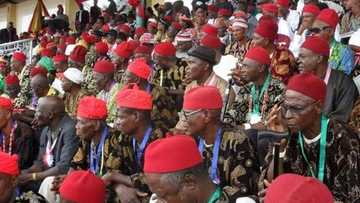 Igbo leaders make U-turn, say southeast zone doesn't need 2023 Presidency