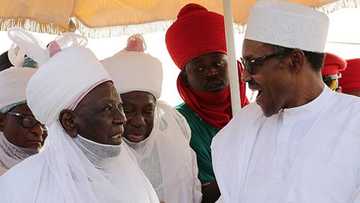 Yanzu-yanzu: Na daga auren diyata saboda Coronavirus - Sarkin Daura