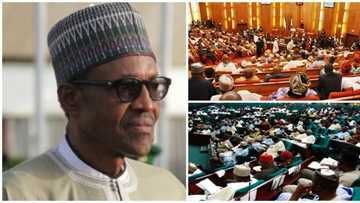 Shi Buhari ba abinda ya sani ko da yaushe – Sanata ya soki shugaban kasa