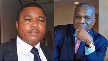 You're a drowning man, looking for where to perch - Nnamdi Kanu's lawyer blasts Orji Kalu