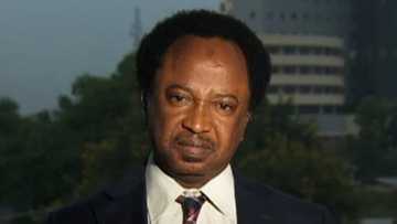 Dalilin da yasa bana son kallon bidiyon jima'i na Tiwa Savage, Shehu Sani