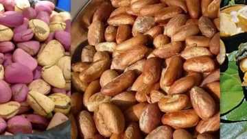 Illoli 5 da ke tattare da cin namijin goro