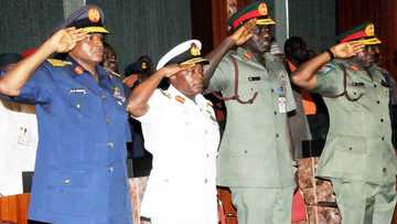 Those calling for the sack of service chiefs are corrupt - Miyetti Allah