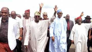 N'Assembly: How The PDP Gave APC A Taste Of Their Own Medicine