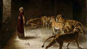 Retro: Let's talk about Prophet Daniel Abodunrin who was devoured by lions after he entered their cage in 1991