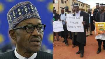 Nationwide ASUU strike: Union says FG is killing education in Nigeria