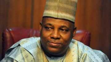 Majalisar Borno ta tsayar da Shettima takarar Sanata