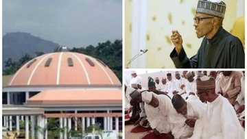 Why some Nigerians want Buhari dead - Presidency speaks about 2019