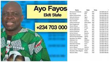 Know your governor! SEE leaked list of unconfirmed phone numbers of Nigerian governors (photos)