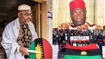 Ohanaeze Ndigbo finally opens up on why it supported southeast governors' ban of IPOB